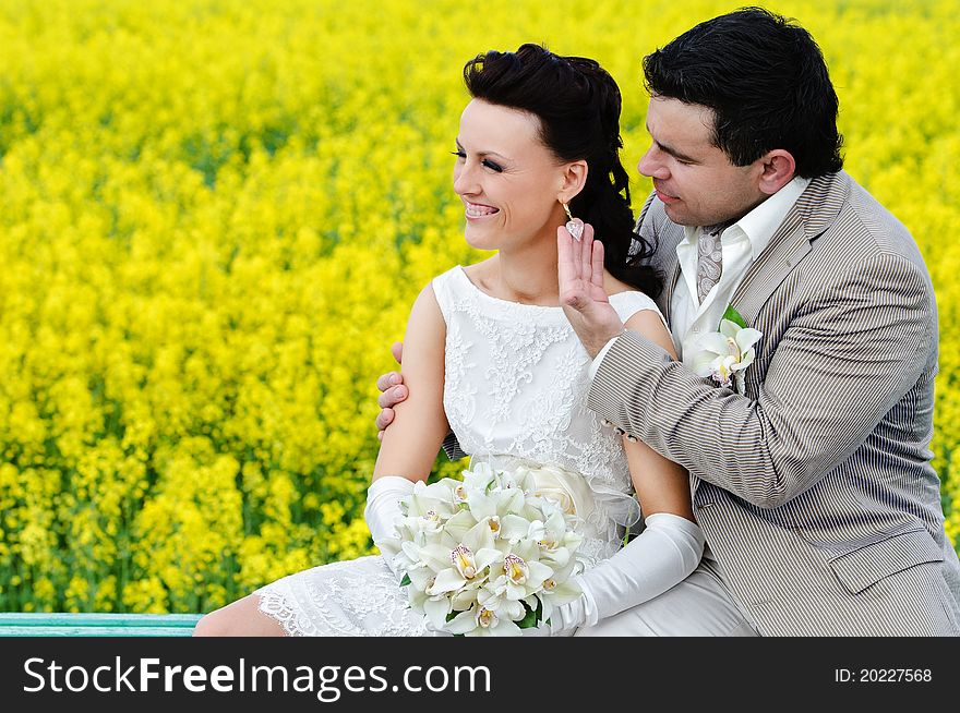 Newly-married couple on the background of field. Newly-married couple on the background of field