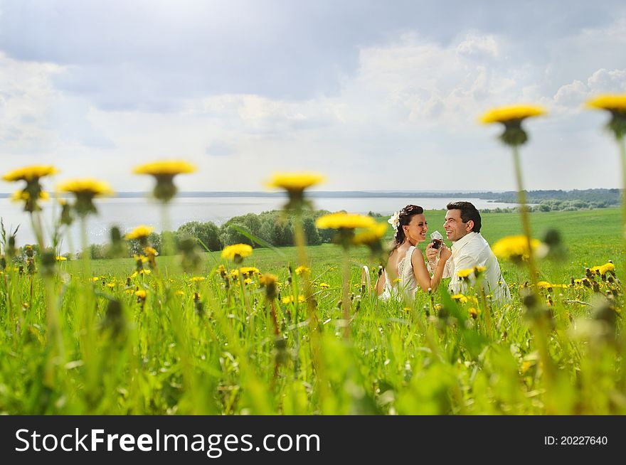 Wedding couple drink a wine and smiling on a grass. Wedding couple drink a wine and smiling on a grass