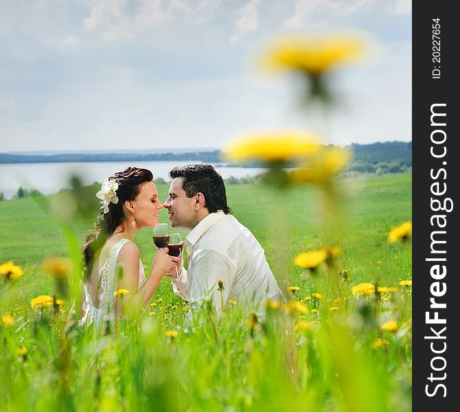 Bride and Groom kissing with a glasses in the field of dandelion. Bride and Groom kissing with a glasses in the field of dandelion