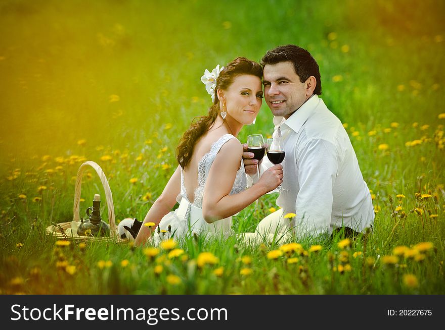 Wedding couple drink a wine and smiling on a grass. Wedding couple drink a wine and smiling on a grass