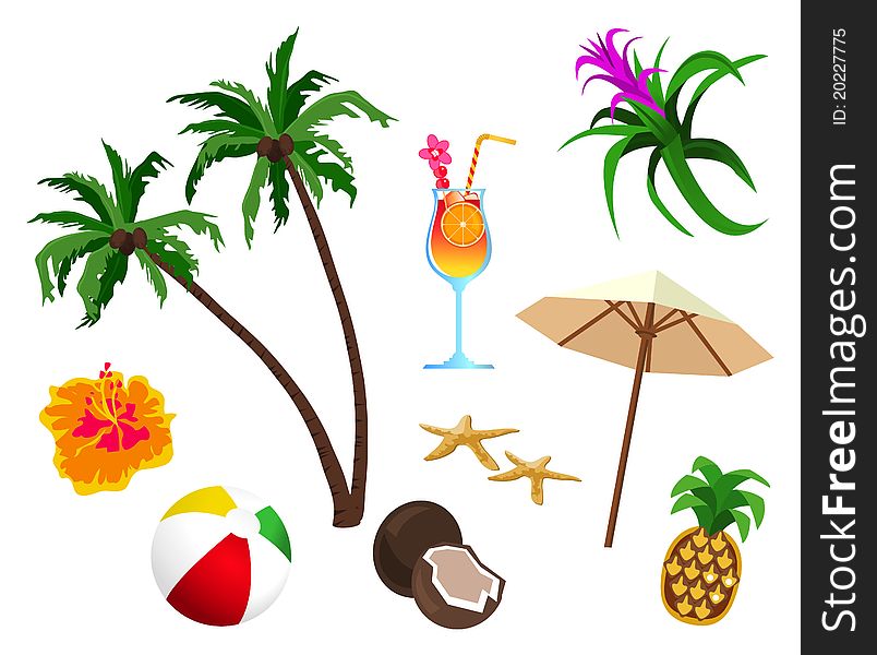 Tropical themed objects isolated on white background. Tropical themed objects isolated on white background