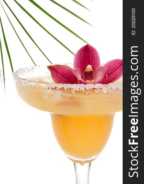 Margarita cocktail drink vertical close up composition with pink orchid flower and tropical palm decoration