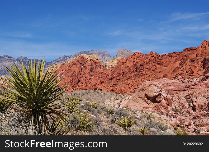 Close-Up of Calico Hills in Red Rock Canyon Nevada. Close-Up of Calico Hills in Red Rock Canyon Nevada