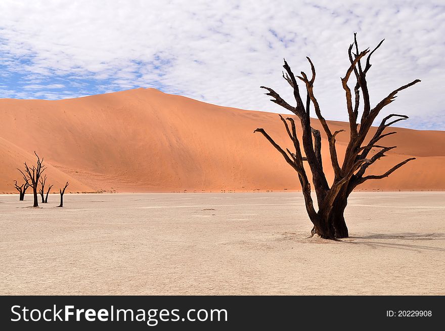 Desert Namib,Namibia,Sossusvlei pan