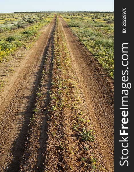 Long straight track in outback australia. Long straight track in outback australia