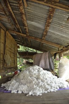 Cotton Material Group Pile Process Stock Photo Cotton Material Group Pile Process Stock Photo