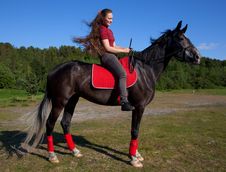 Beautiful Girl With Brown Hair On A Black Horse Royalty Free Stock Photos