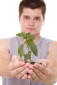 Man Holding A Plant Stock Photo Man Holding A Plant Stock Photo