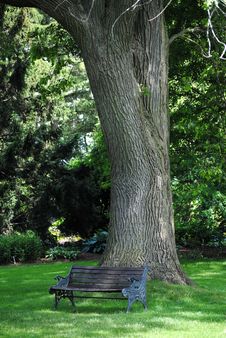 Park Bench Royalty Free Stock Images