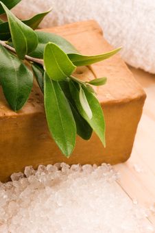 Natural Olive Soap With Fresh Branch Royalty Free Stock Photography Natural Olive Soap With Fresh Branch Royalty Free Stock Photography
