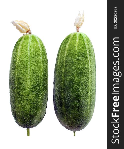 Two fresh green cucumbers isolated on white background. Vegetarian food. Two fresh green cucumbers isolated on white background. Vegetarian food.
