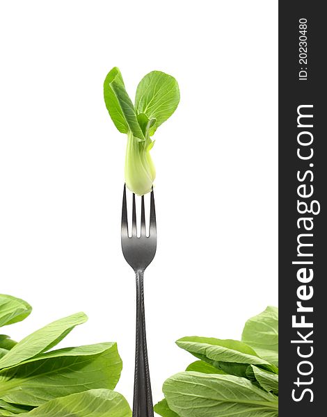 Fresh Cantonese lettuce on fork with withe background