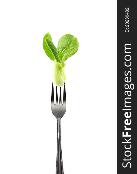 Cantonese Chinese Cabbage on fork , White Background