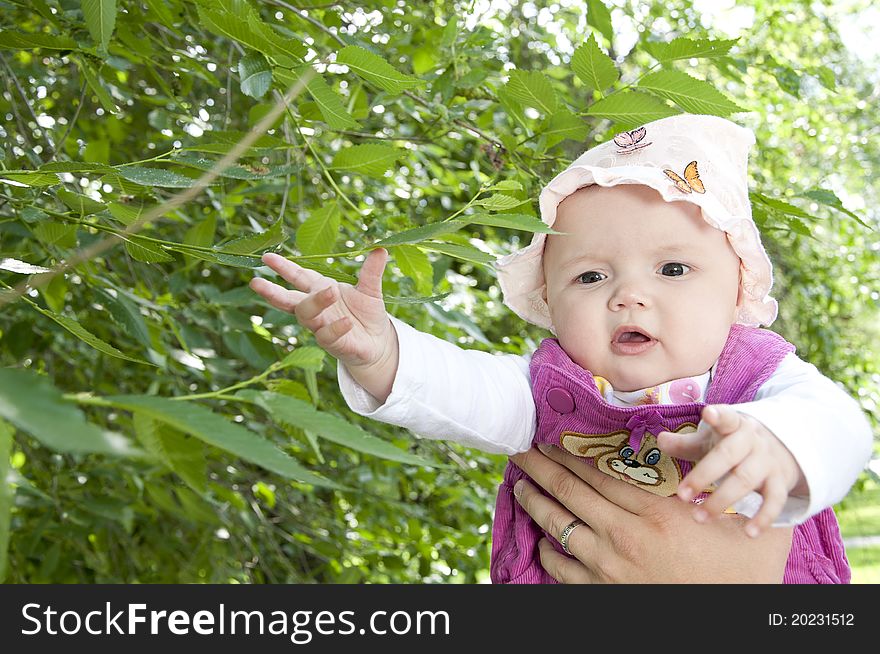 Child reaches for green leafs. Child reaches for green leafs