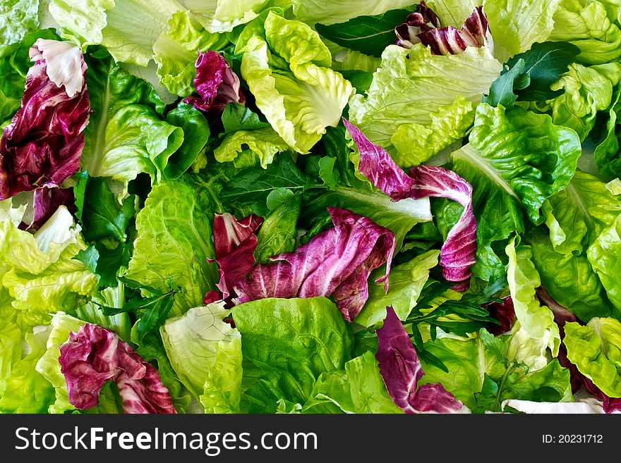 Background of salad leaves