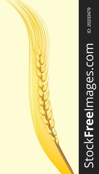 Wheat ear on the yellow background. Illustration