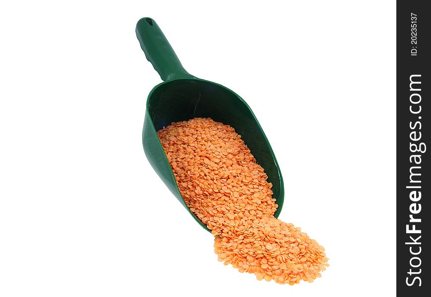 Lentils in a Scoop