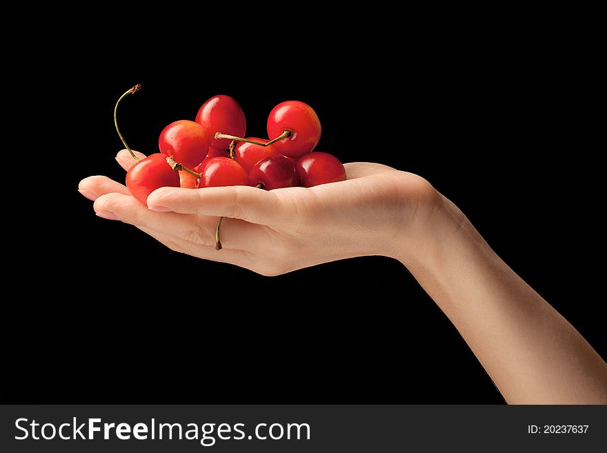 It is red a yellow sweet cherry lies on a hand of the young girl. It is red a yellow sweet cherry lies on a hand of the young girl