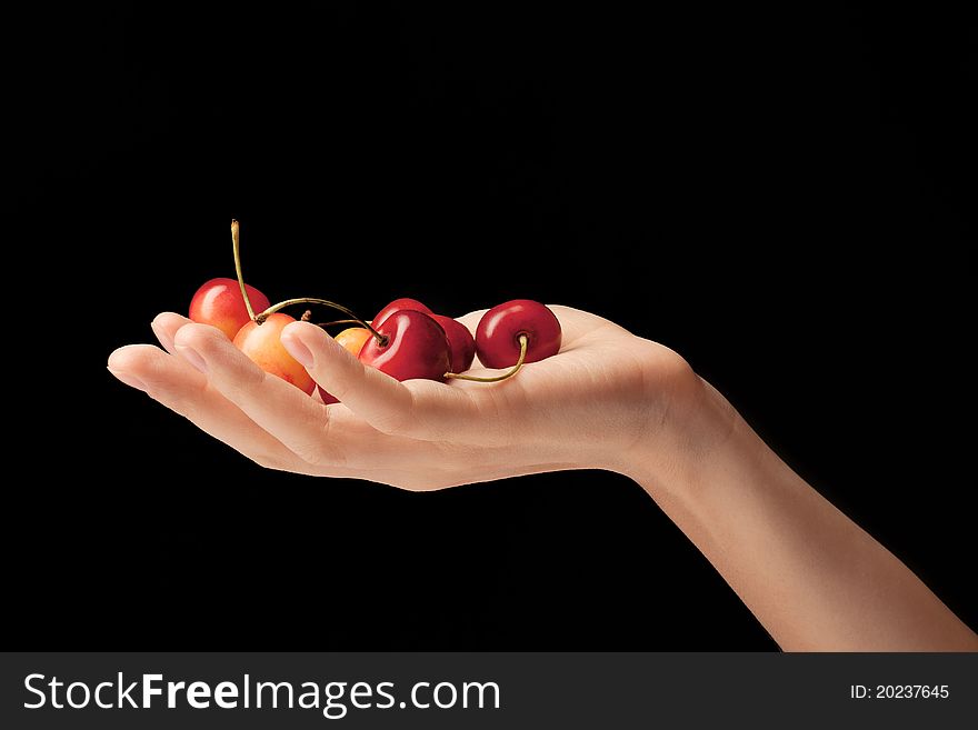 Handful Of Sweet Cherries On A Hand