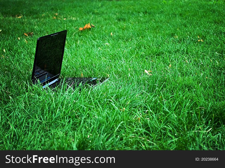 Laptop on a wide, green, grassy sports field
