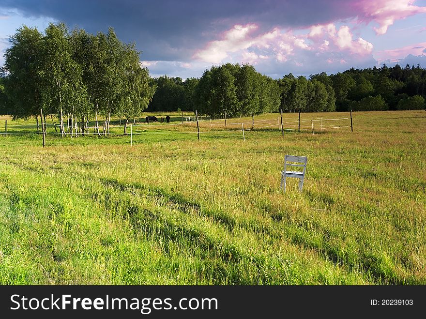 Green view after rain in the Poland. Green view after rain in the Poland