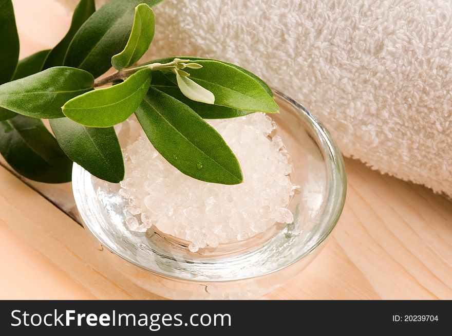 Sea Salt With Fresh Olive Branch. Spa And Wellness