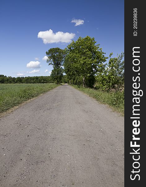 Image of an abandoned road cutting through fields and forest. Image of an abandoned road cutting through fields and forest.