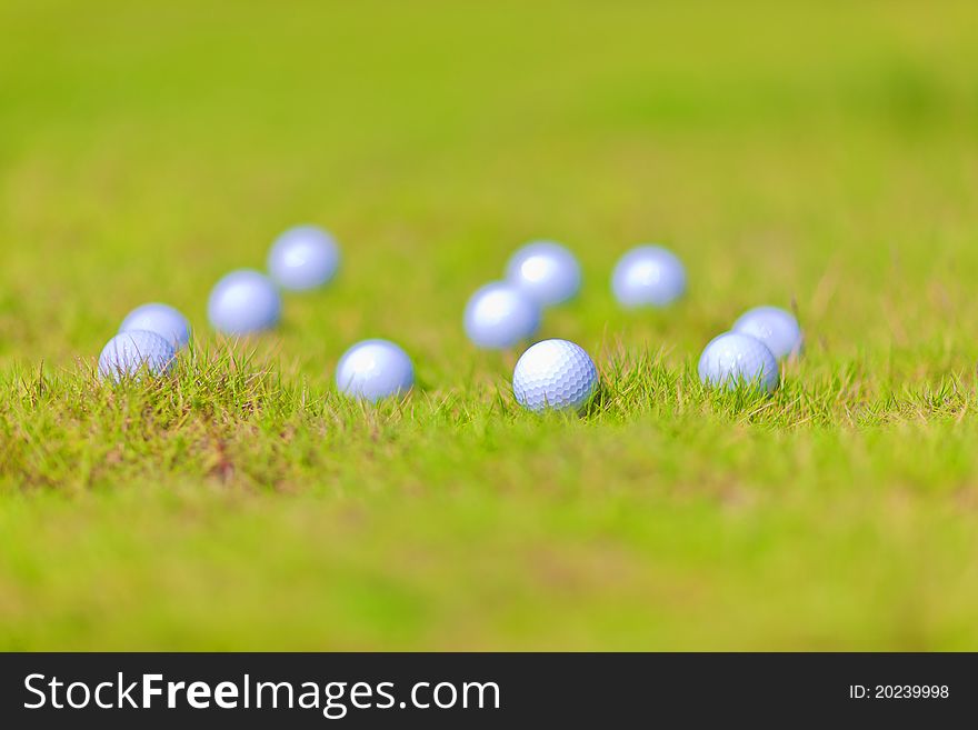 A few golfballs on the grassland,In the sunshine.