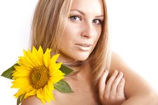 Young Blonde Girl And Sunflower Stock Photo Young Blonde Girl And Sunflower Stock Photo
