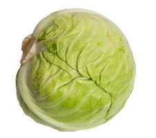 Cabbage Isolated On White Royalty Free Stock Images Cabbage Isolated On White Royalty Free Stock Images