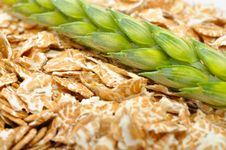 Wheat Flakes And Ear Of Wheat Royalty Free Stock Photos Wheat Flakes And Ear Of Wheat Royalty Free Stock Photos