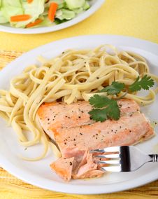 Salmon Fish Fillet Stock Images Salmon Fish Fillet Stock Images