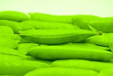 Fresh Green Peas Stock Photography Fresh Green Peas Stock Photography