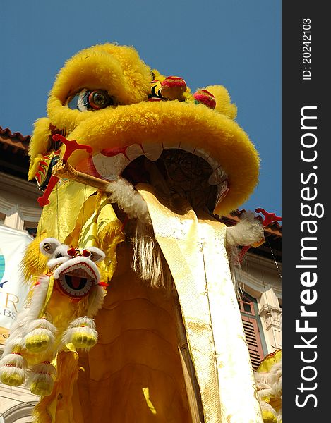 Chinese New Year Dragon close up