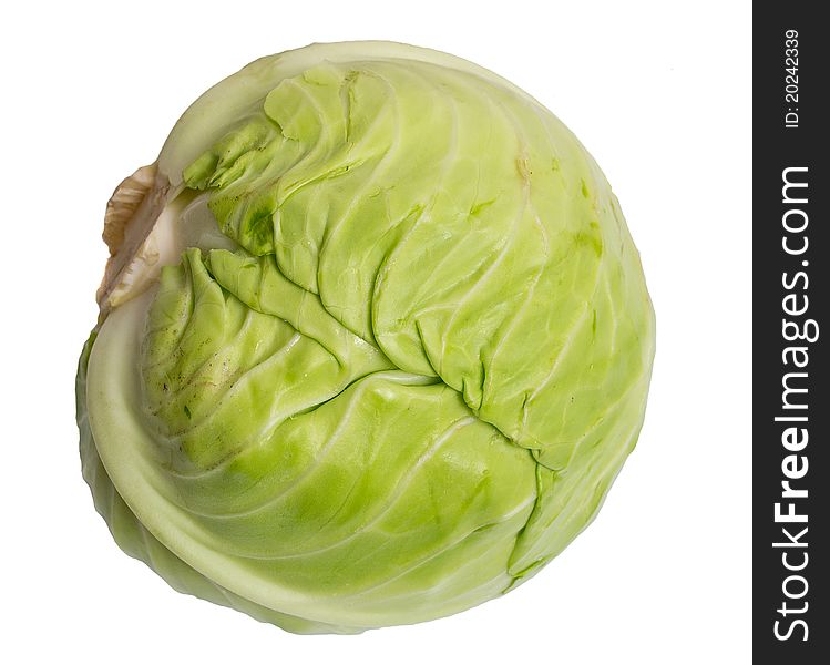 Cabbage Isolated On White