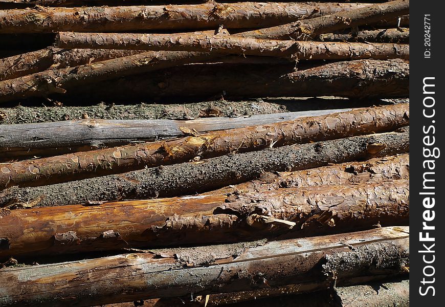 Blocks of wood as biomass or energy or raw material for wood. Blocks of wood as biomass or energy or raw material for wood