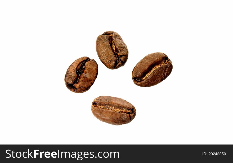 Coffee Bean