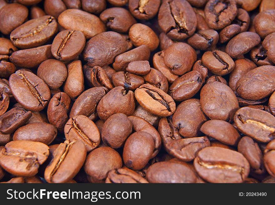 Many coffee beans of a white background