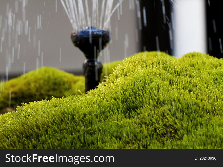 A mossy fountain with drops of water. A mossy fountain with drops of water.