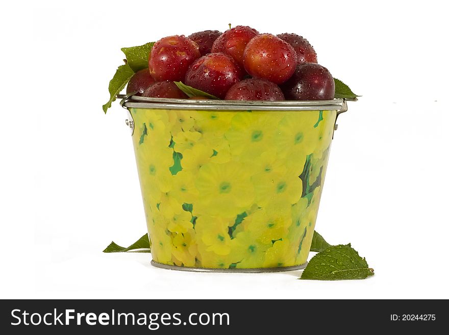 Wet red plums in a small yellow bucket isolated in white background