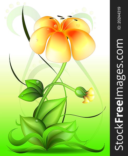 Beautiful flower with leafs and grassâ€“ illustration. Beautiful flower with leafs and grassâ€“ illustration