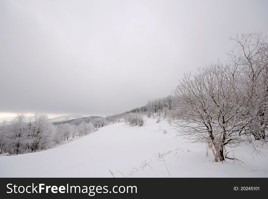 Cold winter landscape with three