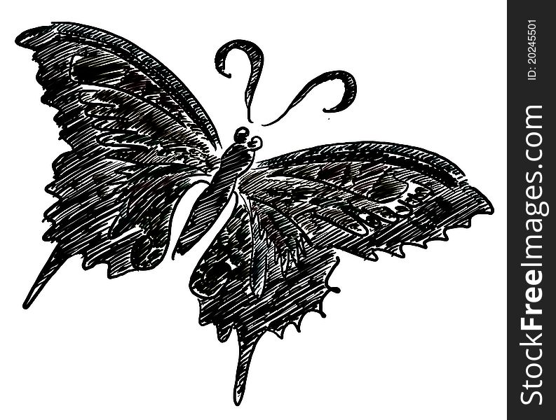 Black illustration of the butterfly. Black illustration of the butterfly