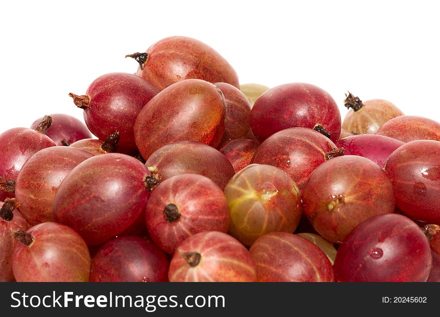 Gooseberry macro - diet, food, fruit. Gooseberry macro - diet, food, fruit