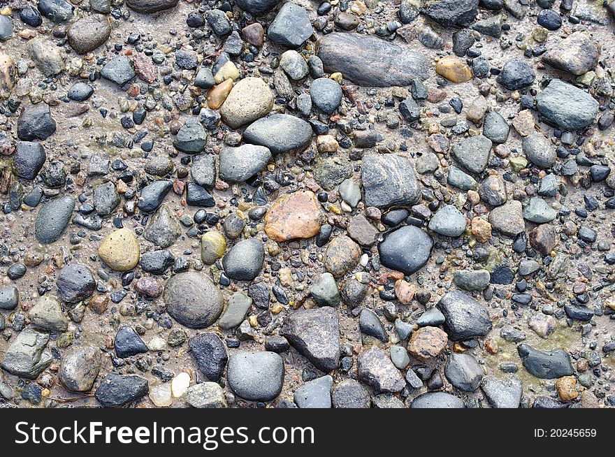 Picture stones on a sea bottom in low-tide water