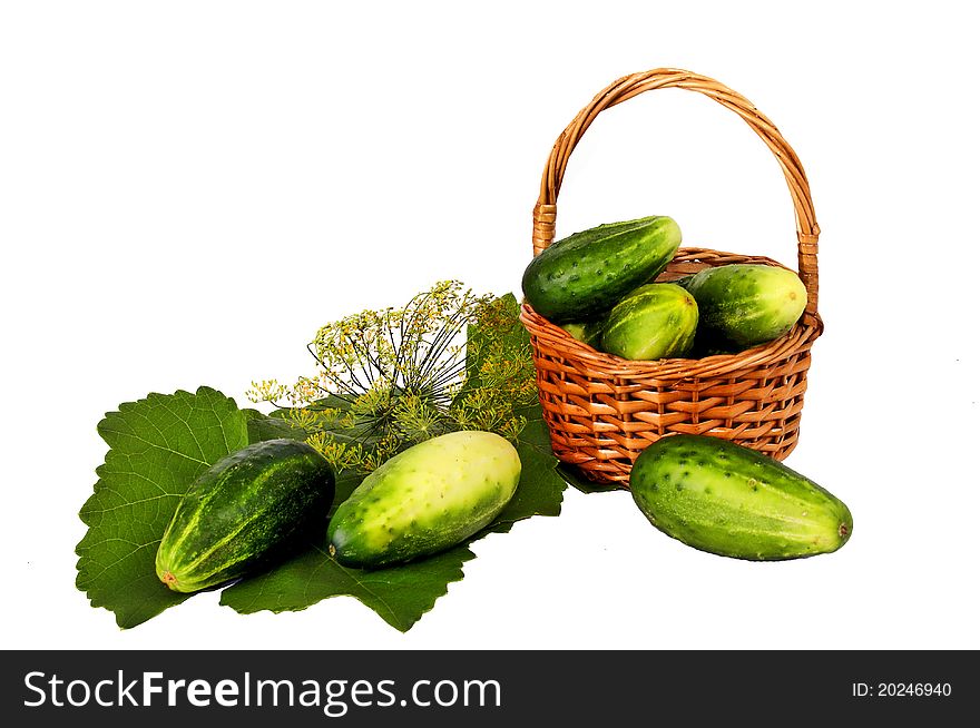 Greens a garden basket with cucumbers and fennel. Greens a garden basket with cucumbers and fennel.