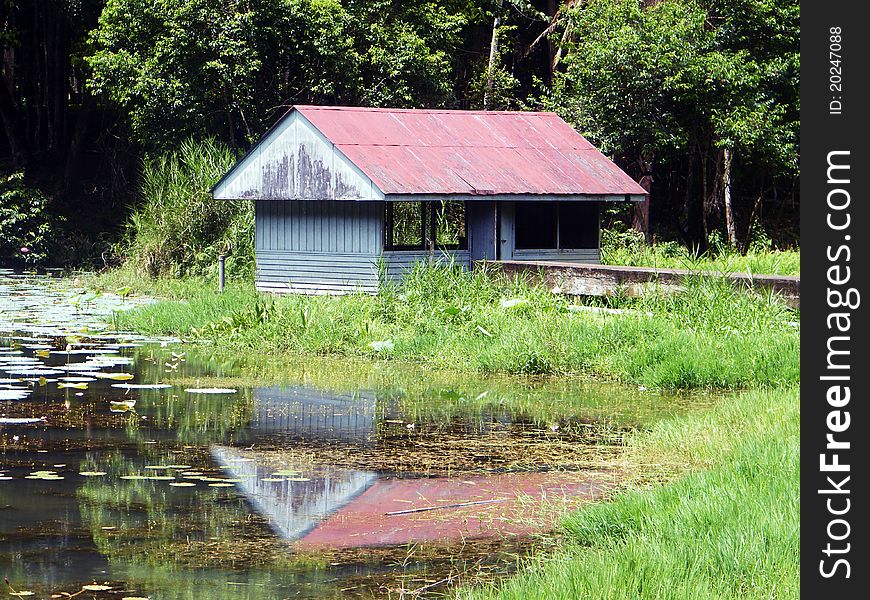 Abandoned hut in the middle of a jungle in Thailand. Abandoned hut in the middle of a jungle in Thailand.