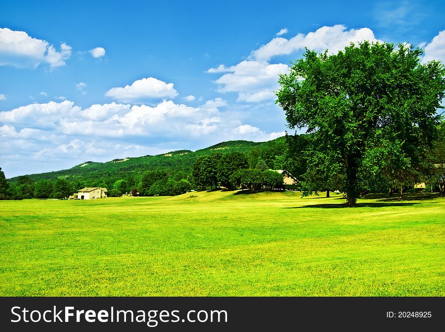 A large, grass covered field with a big tree over beautiful blue skies. A large, grass covered field with a big tree over beautiful blue skies.