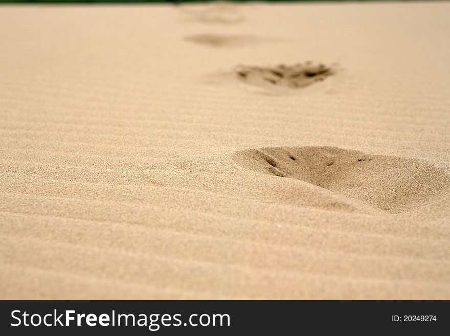 The way of footstep on a sand. The way of footstep on a sand