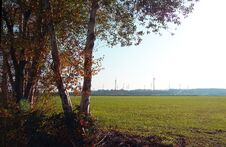 Group Of Birch Trees. Wind Turbines In The Distance. Royalty Free Stock Photos